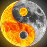 书虫