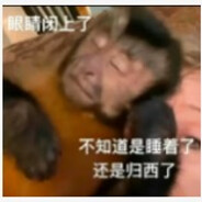 问五十元能治什么病