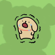 天才小鸡毛与笨蛋小白