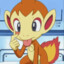 CHIMCHAR