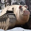 Суржик