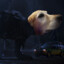 dogoman1