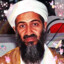 Xx Osama Bin Laden xX