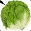 Lettuce