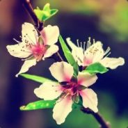 时常想起过去的温存