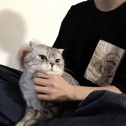 枫丹第一甜妹芙宁娜