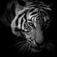 Kawargi - steam id 76561198003401061