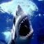 |SN1|Sharky