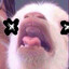 whh10