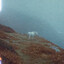 Avatar of roose
