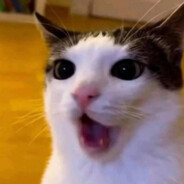 ya pero eres o no eres