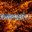 omeger7