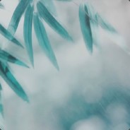 萝卜萝卜萝卜卜