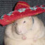 rat in a hat