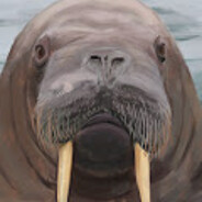Walrus
