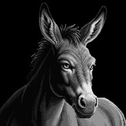 Commander Donkey