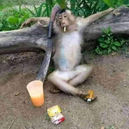 monikkk - steam id 76561199858916341