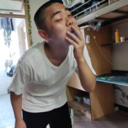 倒把垂杨林黛玉