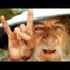 GabberGandalf
