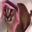 Khedr