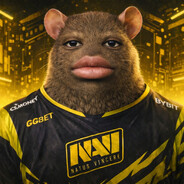 Ratatuy