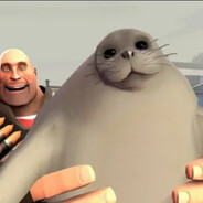 Heavy & Seal