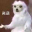 你鹏爹不打狙