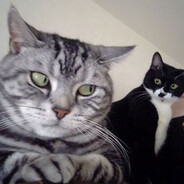 RTF - steam id 76561198260395319