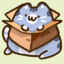 chimichanga_Cat