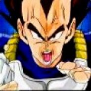 Vegeta95pl