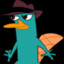 Perry med flatlus