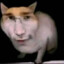 ultimatrix27