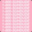 1-800-SUHDUDE