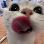 别骂我了好吗？好的。