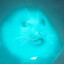 Nuclear Technician Sealnar