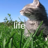 KITKAT