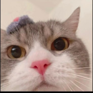 我要为奥林匹斯灌个肠