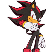 𝑯