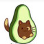 Avocato