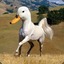 GOOSEMYCSGOUP.RU