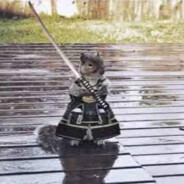 Squirrel,The Backyard samurai