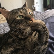 Love is all you need