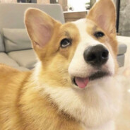 永远的帅哥赵长锐