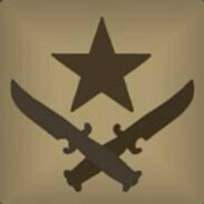 电脑玩家沙鹰小子