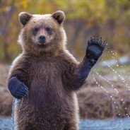 ЗА СЕБЯ И ЗА МЕДВЕ