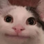 Sywrjkedi