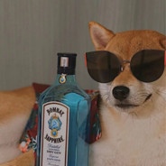 阿这阿那啊不行