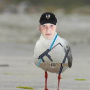 JackeBiceps 's Steam avatar