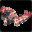 Storm_Epidemic avatar