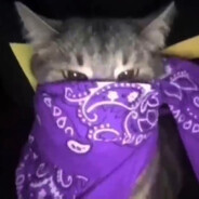 𝐊𝟑𝐗𝐊